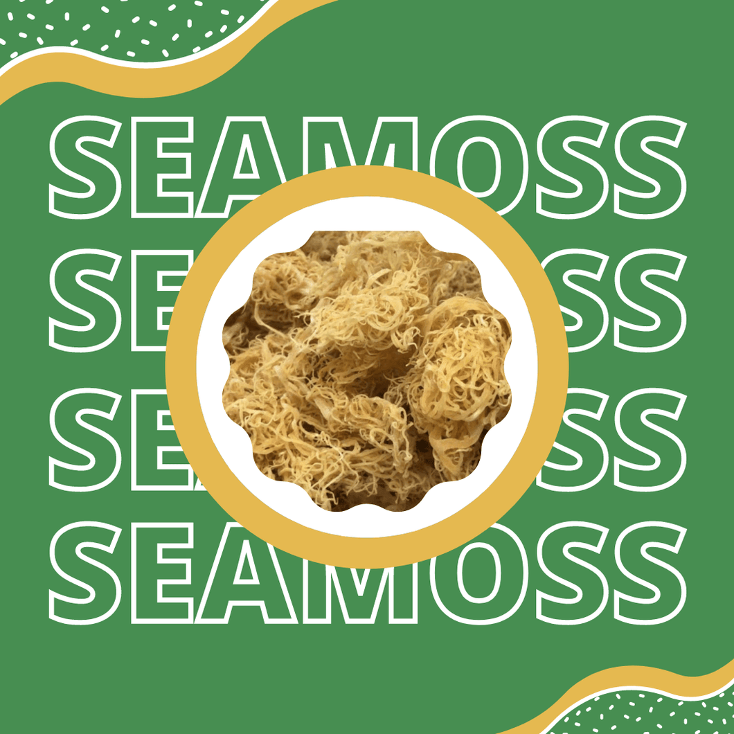 Wild Crafted Raw Sea Moss - Perfect for Gel & Smoothies, Clean Ocean Harvest, Hand Picked & Sun Dried - Bulk Jamaican Moss Superfood - Healthy Champs 